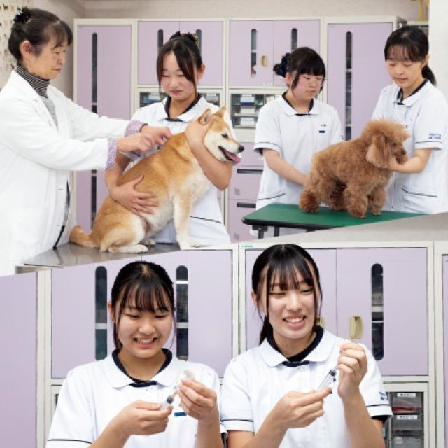国際ペット総合専門学校 ペット総合「ゴニオメーターを使ってみよう！」理学介護福祉体験1