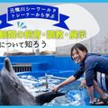 ＴＣＡ東京ＥＣＯ動物海洋専門学校 元鴨川シーワールドトレーナーから学ぶ！～鯨類について～