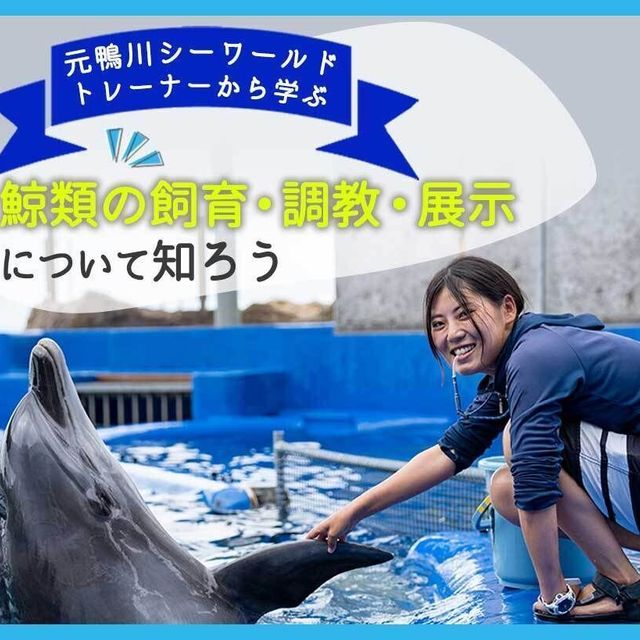 ＴＣＡ東京ＥＣＯ動物海洋専門学校 元鴨川シーワールドトレーナーから学ぶ！～鯨類について～1