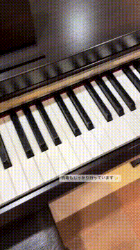 OCカメラサムネイル画像