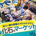 ＴＣＡ東京ＥＣＯ動物海洋専門学校 年に一度の恐竜スペシャルイベント！化石のマーケット
