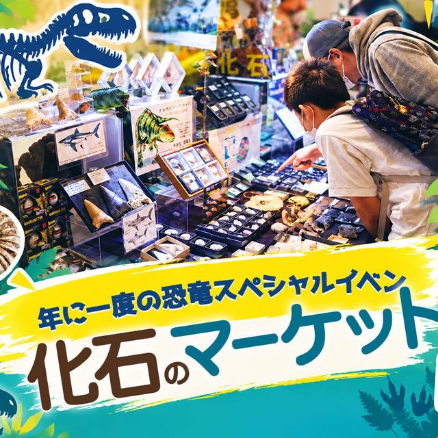 ＴＣＡ東京ＥＣＯ動物海洋専門学校 年に一度の恐竜スペシャルイベント！化石のマーケット1