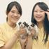 愛知ペット専門学校 トリマーのお仕事体験＆ペットショップ体験2