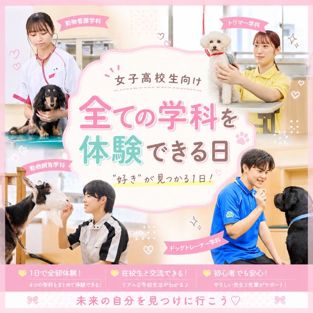 国際動物専門学校 学校説明会（全ての学科を体験できる）1