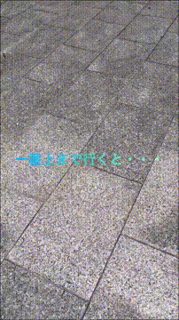 OCカメラサムネイル画像