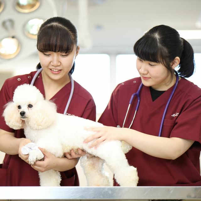 高崎動物専門学校 【特別プログラム】いざというとき動物を守る防災SPECIAL2