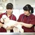 高崎動物専門学校 【特別プログラム】いざというとき動物を守る防災SPECIAL2