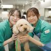 東京愛犬専門学校 愛犬総合学科　現場で即戦力となる技能を学べる学校の体験入学