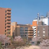 ★プチ学校見学★の詳細