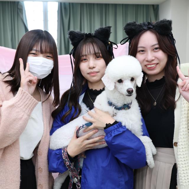 ヤマザキ動物専門学校 あしあと祭（文化祭）1