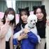 ヤマザキ動物専門学校 あしあと祭（文化祭）1