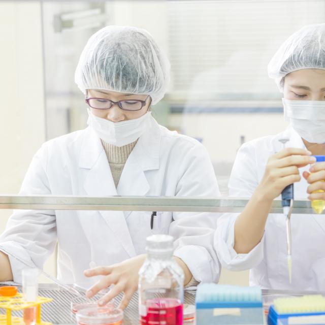 東京バイオテクノロジー専門学校 【コースの学びがしっかりわかる！】体験授業2