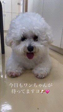 OCカメラサムネイル画像