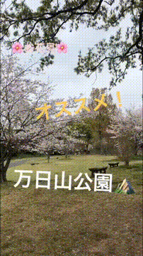 OCカメラサムネイル画像