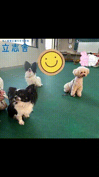 OCカメラサムネイル画像