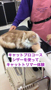 OCカメラサムネイル画像