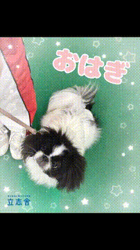 OCカメラサムネイル画像