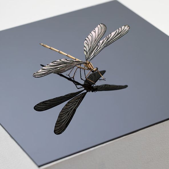 阿佐ヶ谷美術専門学校 資料請求 願書請求 学校案内 スタディサプリ 進路