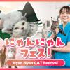 ＴＣＡ東京ＥＣＯ動物海洋専門学校 にゃんにゃんフェス！