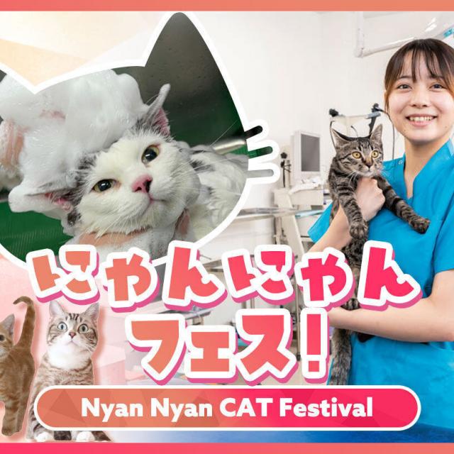 ＴＣＡ東京ＥＣＯ動物海洋専門学校 にゃんにゃんフェス！1