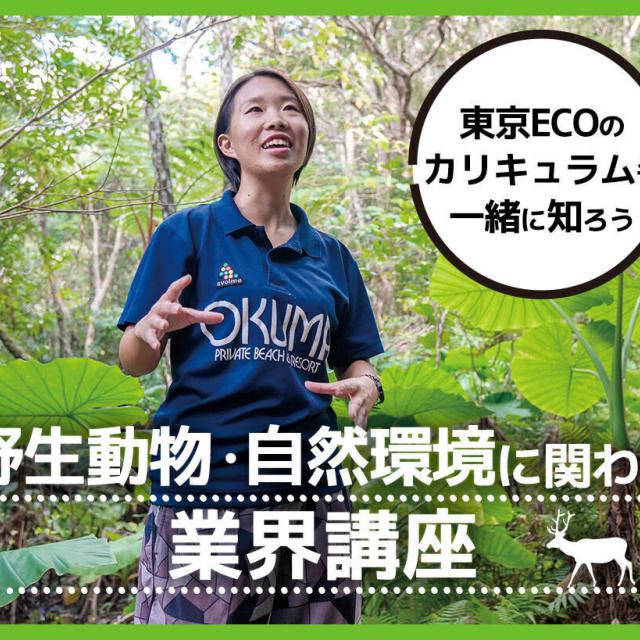 ＴＣＡ東京ＥＣＯ動物海洋専門学校 野生動物・自然環境に関わる業界講座！1