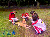 OCカメラサムネイル画像