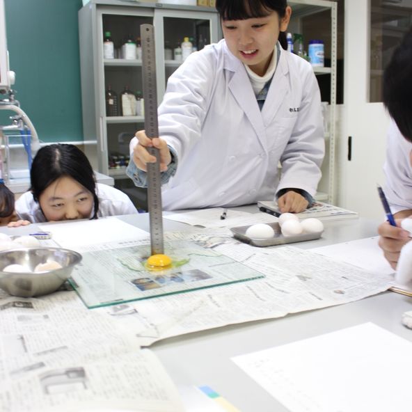 菜園調理師専門学校 資料請求 願書請求 学校案内 スタディサプリ 進路