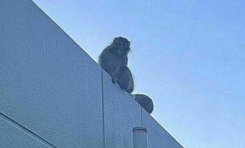 愛知産業大学のブログインフォ一覧 3 スタディサプリ 進路
