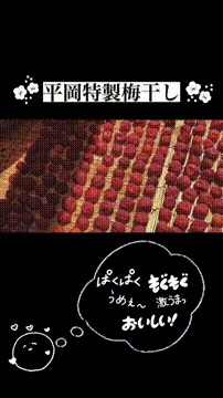 OCカメラサムネイル画像