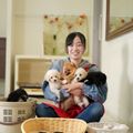 高崎動物専門学校 【ペットショップ・飼育】犬の親子当てクイズをするよ！
