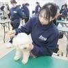 専門学校 福岡ビジネス・アカデミー はじめてでも大丈夫！トリマーのおシゴト体験