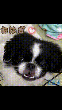 OCカメラサムネイル画像