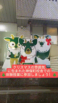 OCカメラサムネイル画像