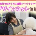 ＴＣＡ東京ＥＣＯ動物海洋専門学校 流行りのカットに挑戦！ペットトリマーデザインカット体験