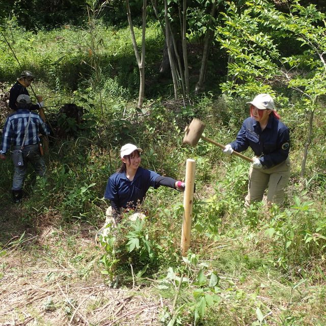 東京環境工科専門学校 『森づくりが街を守る！』特別授業を同時開催！1