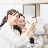 1日に2つの仕事を体験！歯科技工士×歯科衛生士 W体験！の詳細