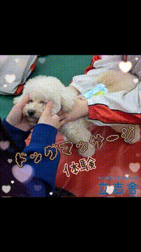 OCカメラサムネイル画像