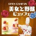 山手調理製菓専門学校 11/23【製菓】マカロンケーキ・ビュッフェ付き