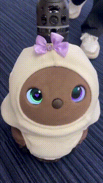OCカメラサムネイル画像