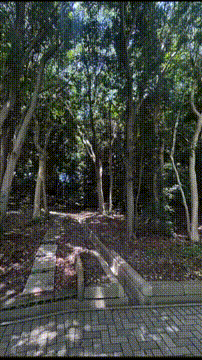 OCカメラサムネイル画像