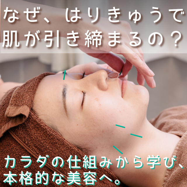 明治東洋医学院専門学校 なぜ、はりきゅうで肌が引き締まるの？美容鍼灸体験1