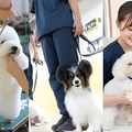 専門学校　福岡ビジョナリーアーツ 【ペット・看護】3専攻よくばり体験【わんこ】