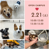 新潟ペット動物専門学校 ふわふわワンちゃんとほっこり冬体験♪