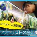 ＴＣＡ東京ＥＣＯ動物海洋専門学校 アクアリストのお仕事について学ぼう～アクアルーム実践編～