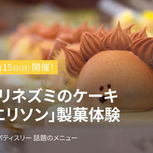 レコールバンタン ★ハリネズミのケーキ「エリソン」★製菓体験1