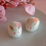 【茶室で体験！】うさぎ上用＆ねりきり体験【和菓子】の詳細