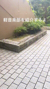 OCカメラサムネイル画像