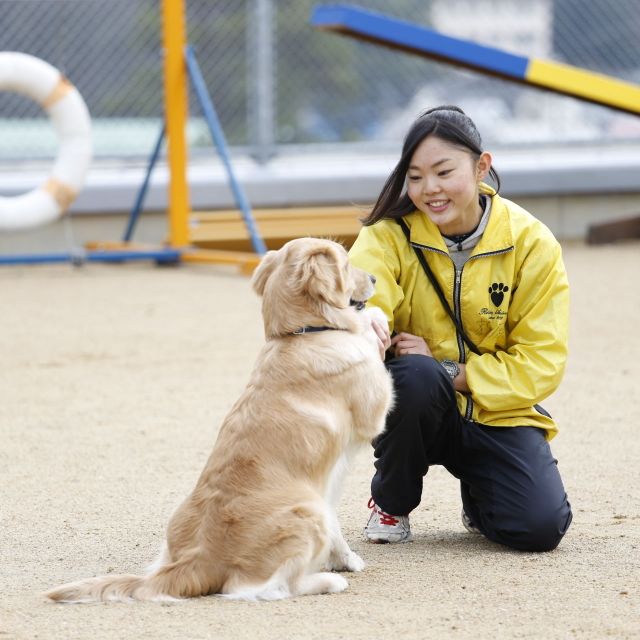 動物飼育トレーニング学科 犬と トリック を楽しもう 岡山理科大学専門学校のオープンキャンパス情報と予約申込 スタディサプリ 進路