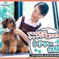 ＴＣＡ東京ＥＣＯ動物海洋専門学校 プロが使う！シャンプー剤を試せるトリマー体験