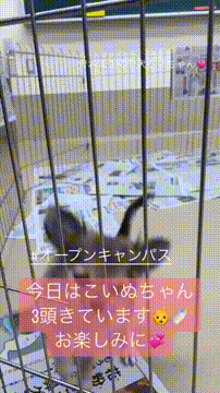 OCカメラサムネイル画像